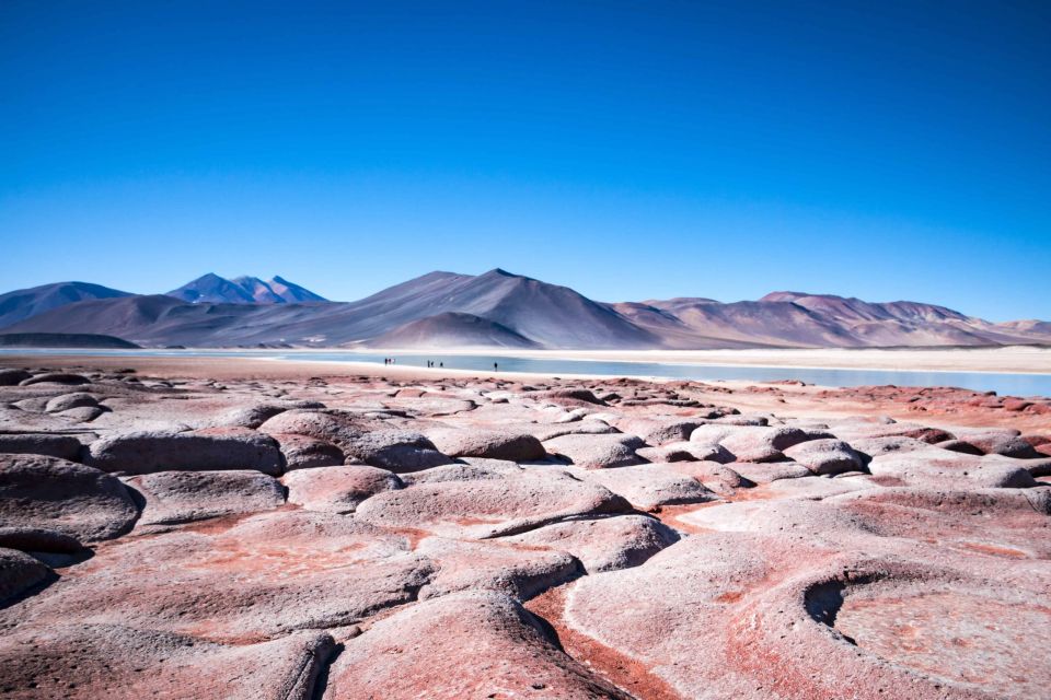 Caracoles: Red Stones of Atacama and Chaxa Guided Day Trip - Highlights and Itinerary Details