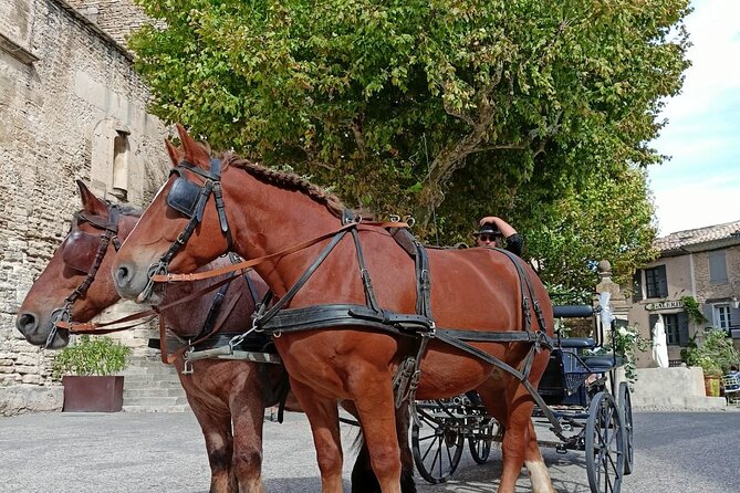 Carriage Rides in the Heart of the Luberon - Inclusions