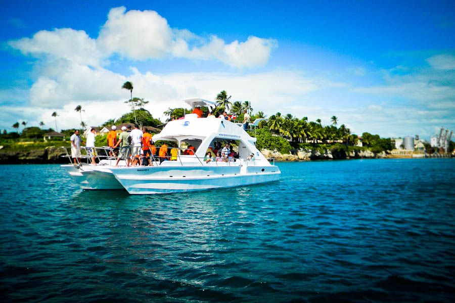 Catalina Island Scuba Diving Tour From Punta Cana - Tour Experience Highlights