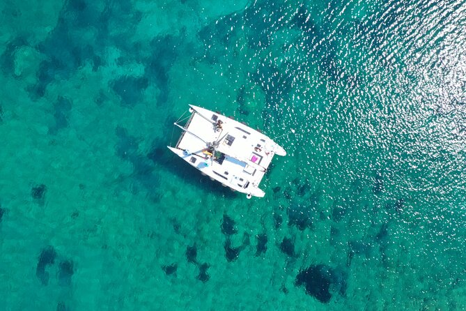 Catamaran Excursions in the Asinara Island National Park - Meeting Details and Pickup