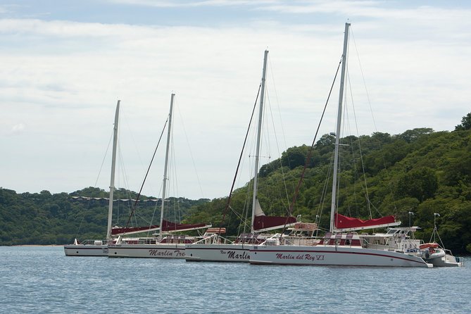 Catamaran Sailing & Snorkeling From Playa Hermosa - Swim and Snorkel Adventure