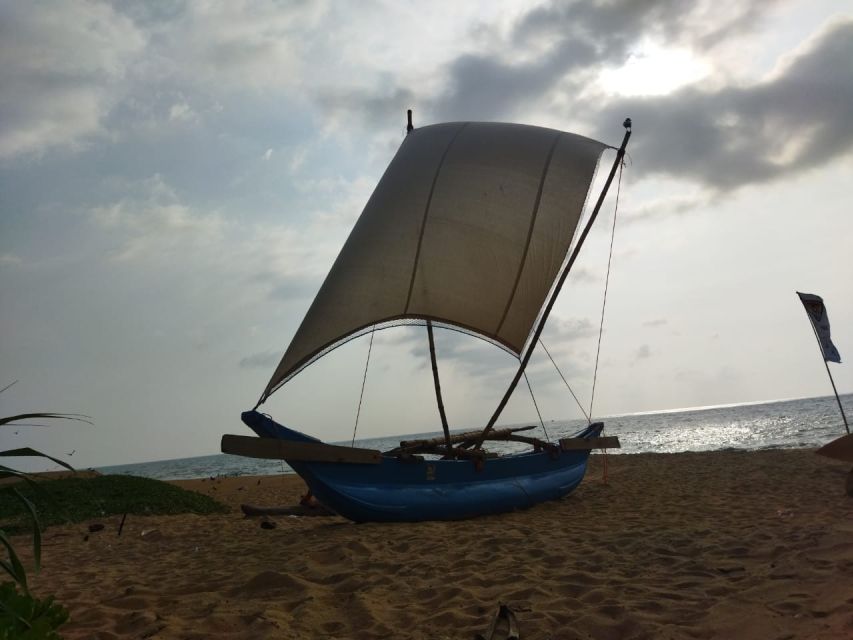 Catamaran Sunset Sailing in Mount Lavinia - Experience Highlights