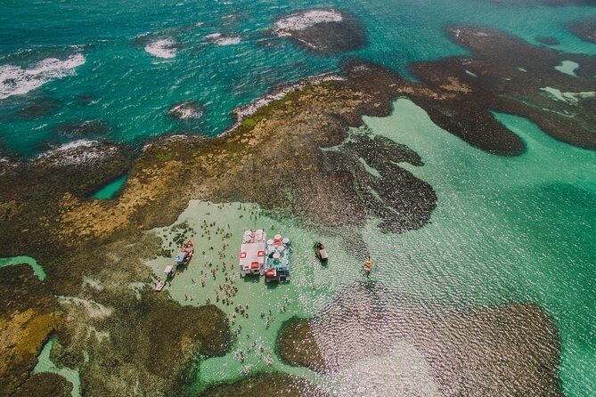 Catamaran Tour to the Natural Pools of the Far East - Customer Reviews