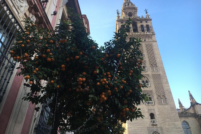 Cathedral and Real Alcàzar in Italian - Meeting and Logistics