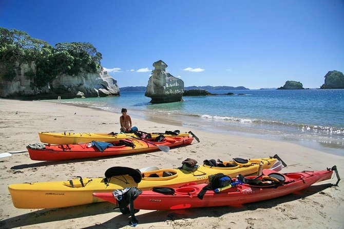 Cathedral Cove Kayak Tour - Customer Reviews