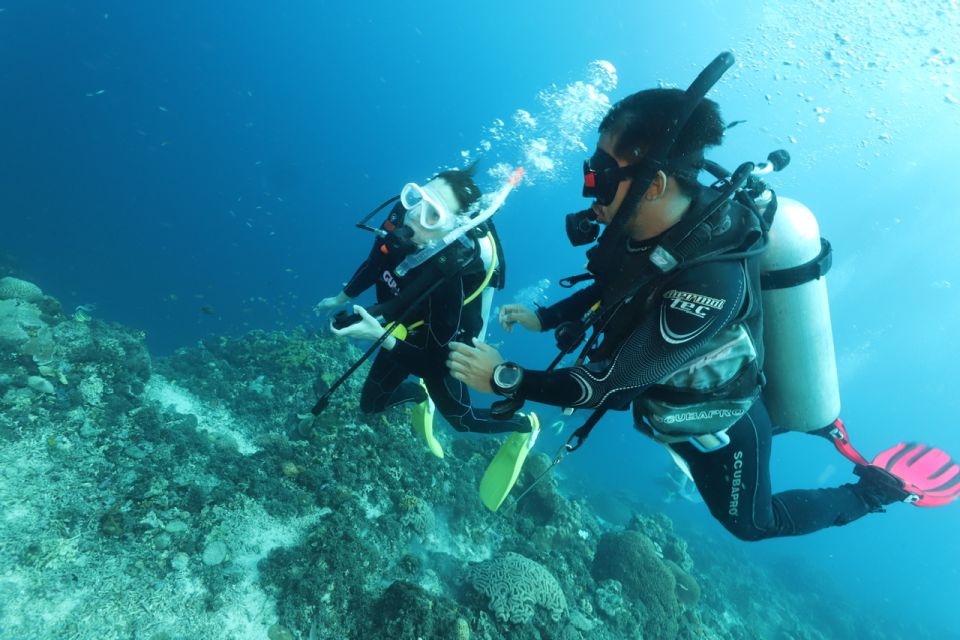 Cebu: Mactan Island Scuba Diving Experience Beach Entry - Inclusions and Services