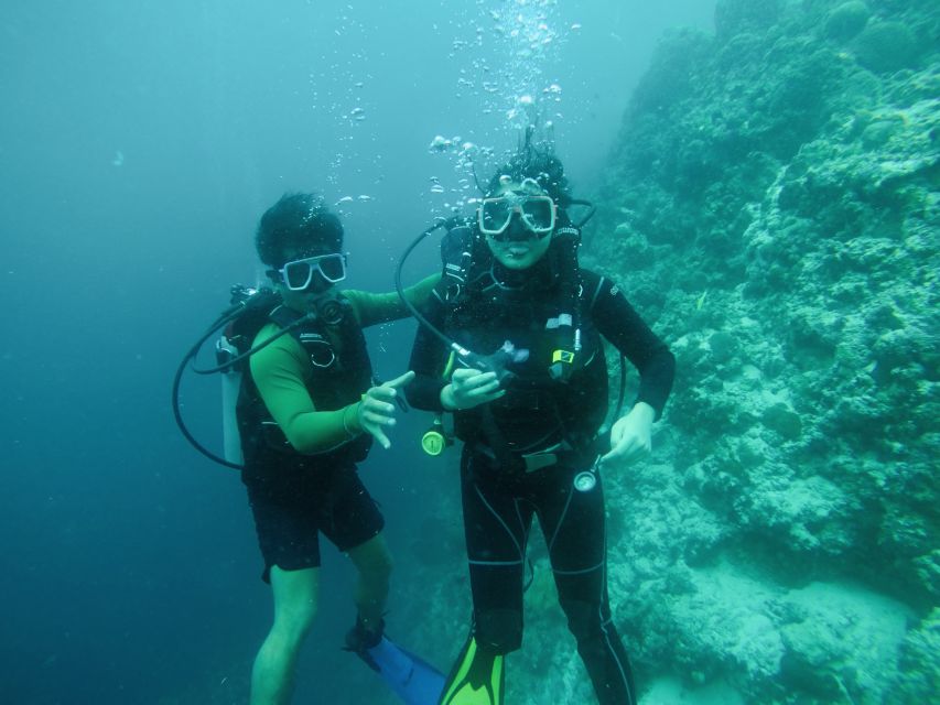 Cebu: Scuba Diving With Sardines and Pescador Island Snorkel - Diving Experience