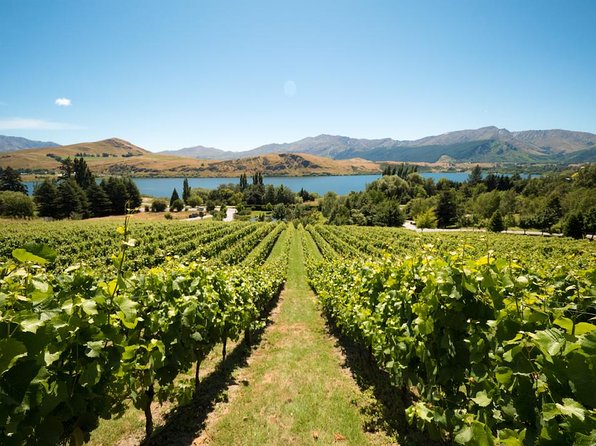 Central Otago Wine Tour From Queenstown Including Lunch - Booking and Policies