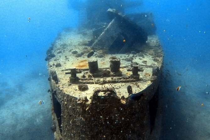 Certified Diver:2-Tank Deep Wreck and Shallow Reef Dives off Oahu - Experience Overview