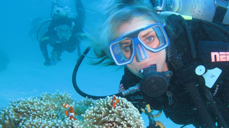 Cesme: Scuba Diving Experience - Experience Details