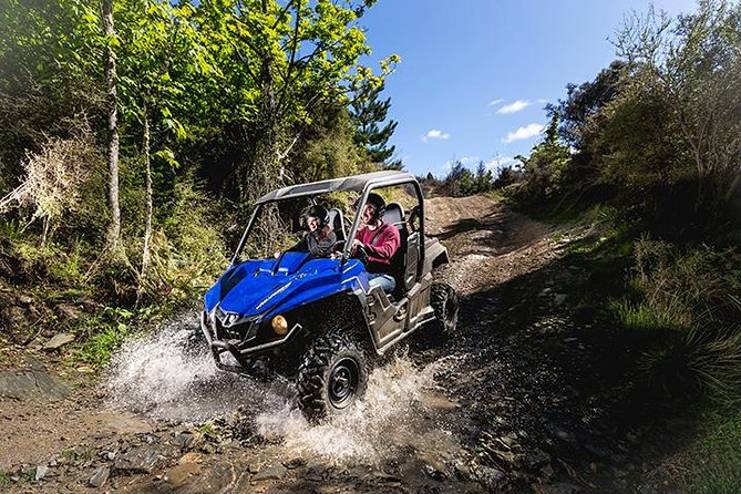 Challenger Self Drive Guided Buggy Tour From Queenstown - Booking and Cancellation Policy