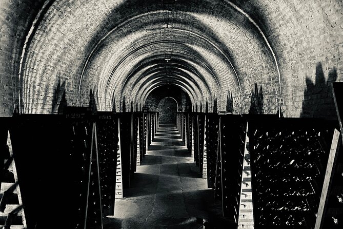 Champagne Cellars & Vineyards Tour From Reims Full Day - Tasting Experiences