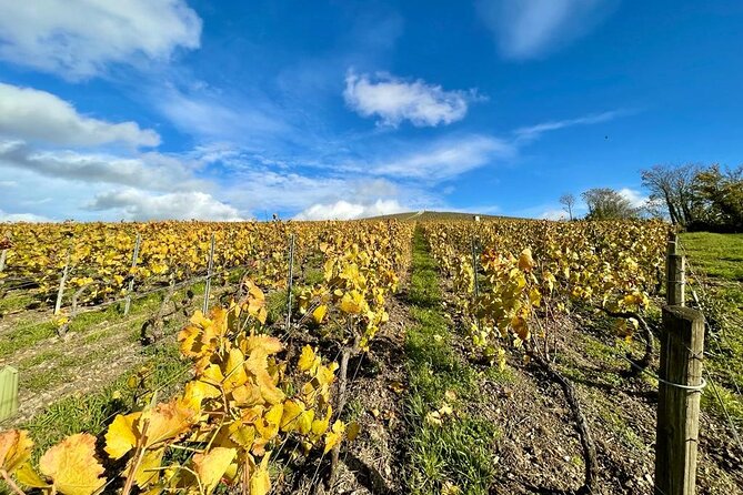 Champagne Small-Group Tour With Tastings and Lunch From Epernay - Champagne Producers Visited