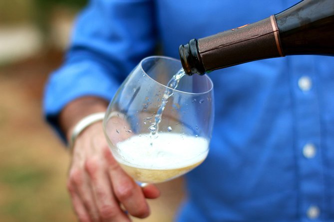 Champagne VIP Day Trip From Paris With Local PRIVATE Wine Expert Guide - Traveler Experiences