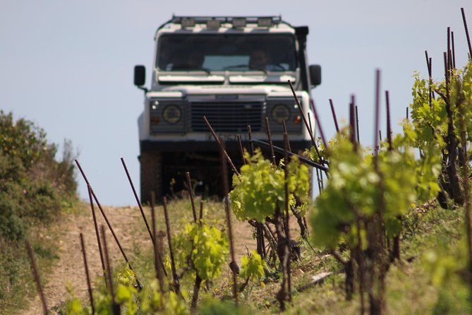 Chania Shore Excursion Vineyard and Winery Tour Half Day - Booking Information