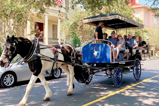 Charleston Horse & Carriage Historic Sightseeing Tour - Accessibility and Requirements