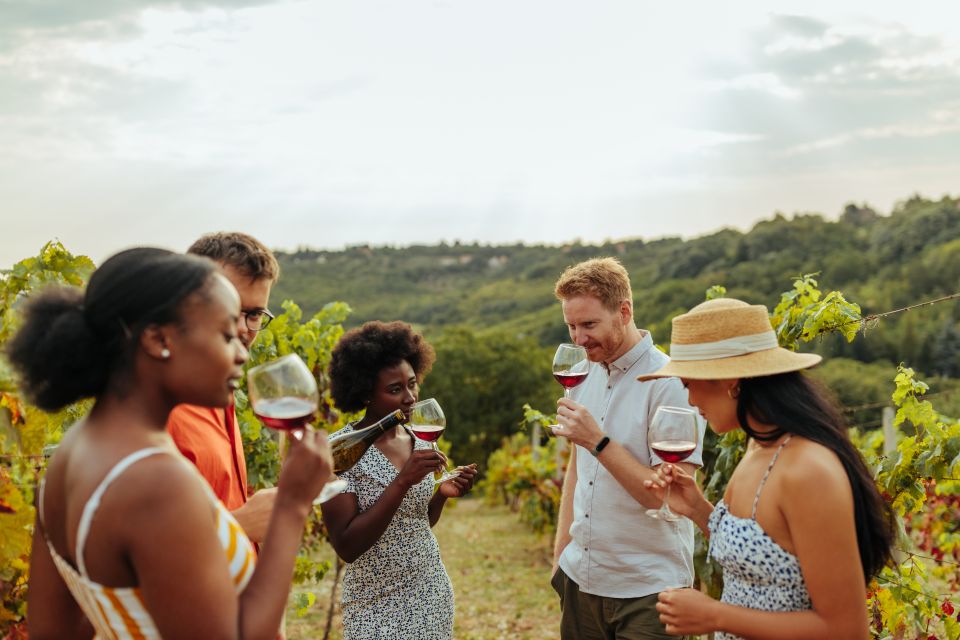 Charleston: Wadmalaw Island Wine Tasting and Tea Garden Trip - Experience Highlights