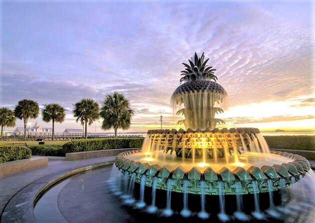 Charleston Water Taxi Cruise With Dolphin Sighting - Logistics and Operations