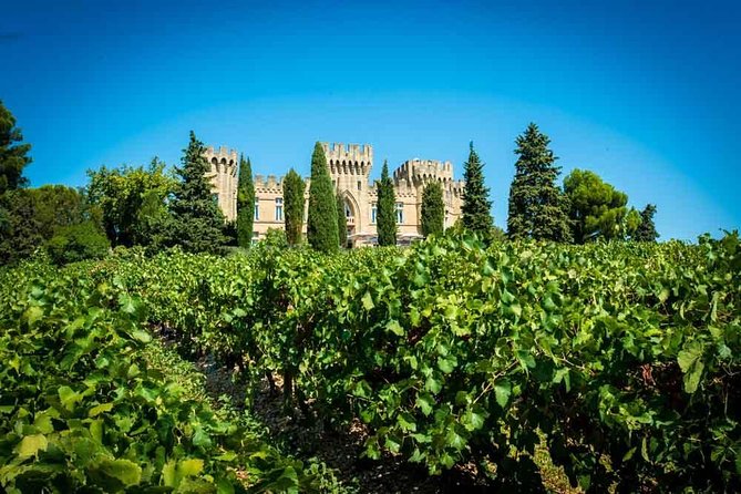 Chateauneuf Du Pape Wine Tour - Customer Reviews