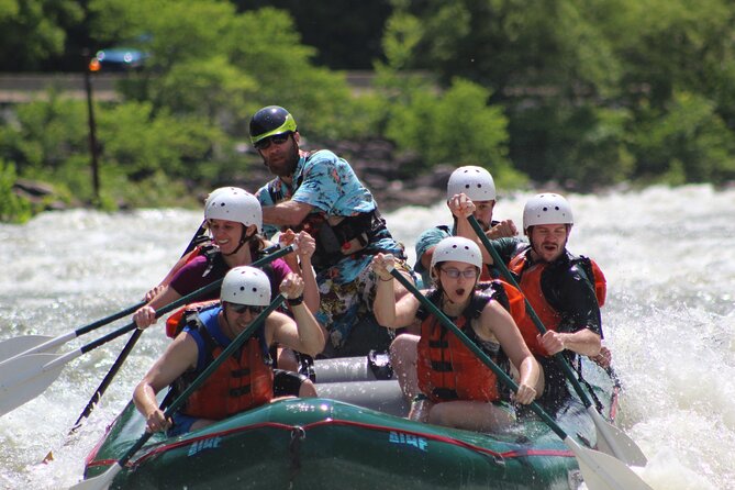 Chattanooga Ocoee River Guided Whitewater Kayaking Experience - Participant Requirements and Expectations