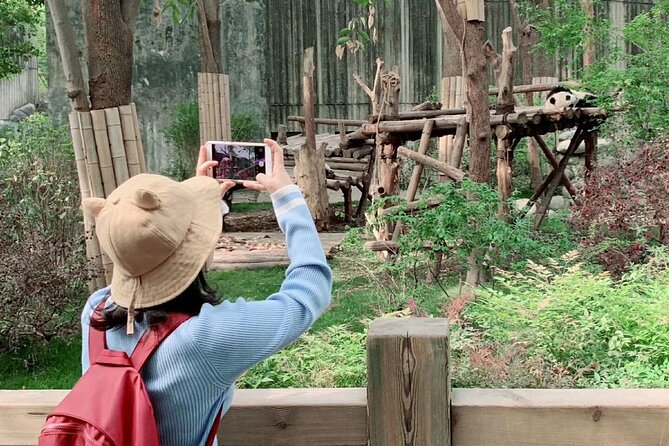 Chengdu Giant Panda Breeding Research Base Ticket - Traveler Engagement Features