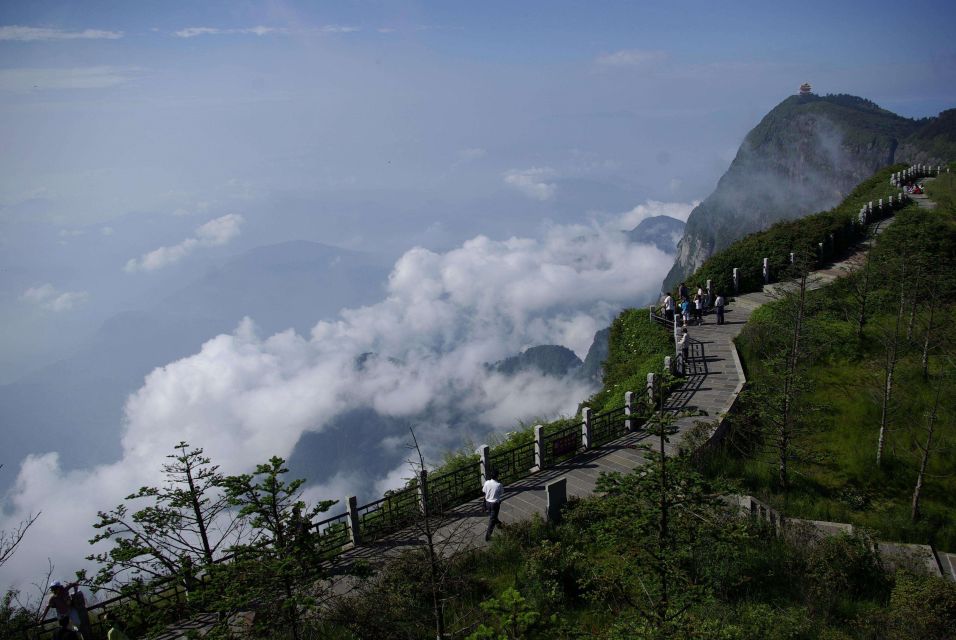 Chengdu: Panda Base, Leshan Buddha, & Emeishan 2 Day Tour - Activity Details