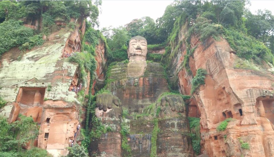 Chengdu Private Tour of Leshan Buddha and Panda Base - Activity Inclusions
