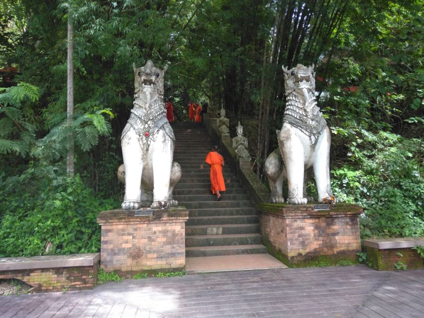Chiang Mai: 6-Hour Doi Pui National Park Summit Hike - Experience Highlights
