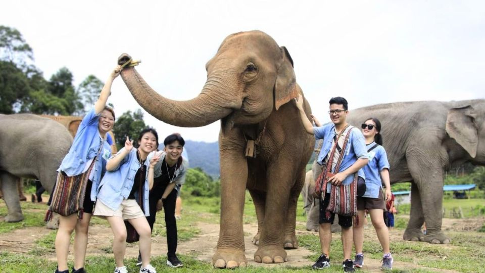 Chiang Mai: Doi Inthanon and Elephant Sanctuary Tour & Hike - Activity Inclusions