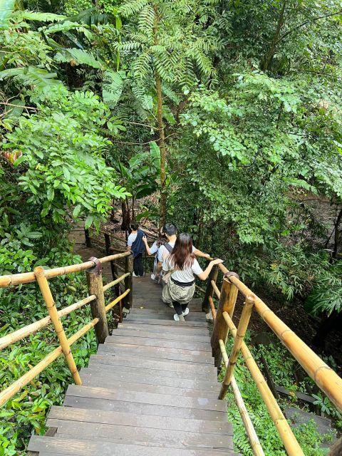Chiang Mai: Doi Inthanon Park and Pha Dok Siew Trail Trek - Activity Highlights