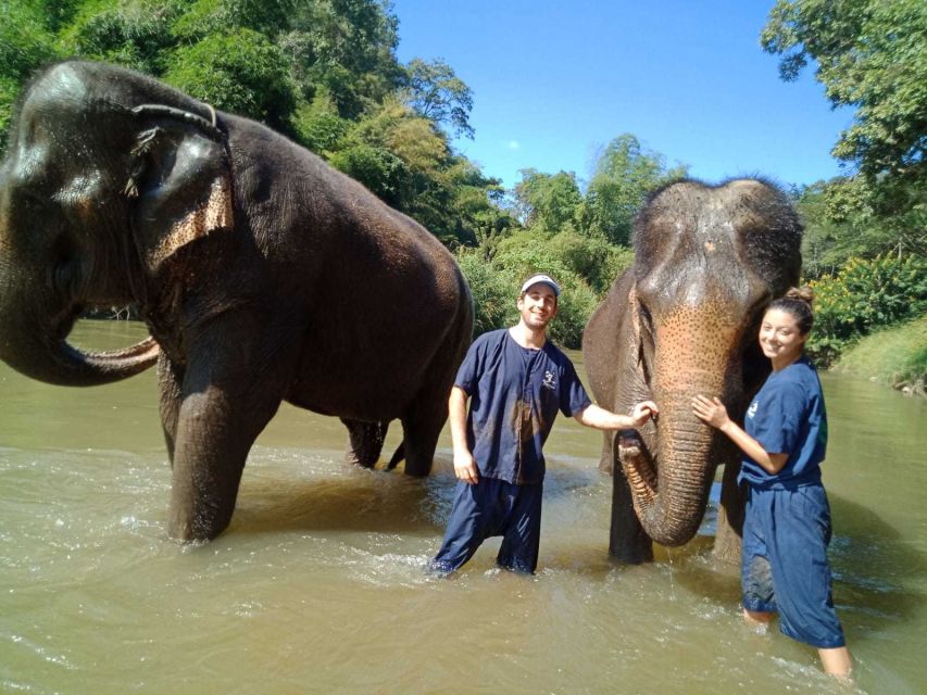 Chiang Mai: Doi Suthep Temple & Elephant Sanctuary Day Trip - Activity Details