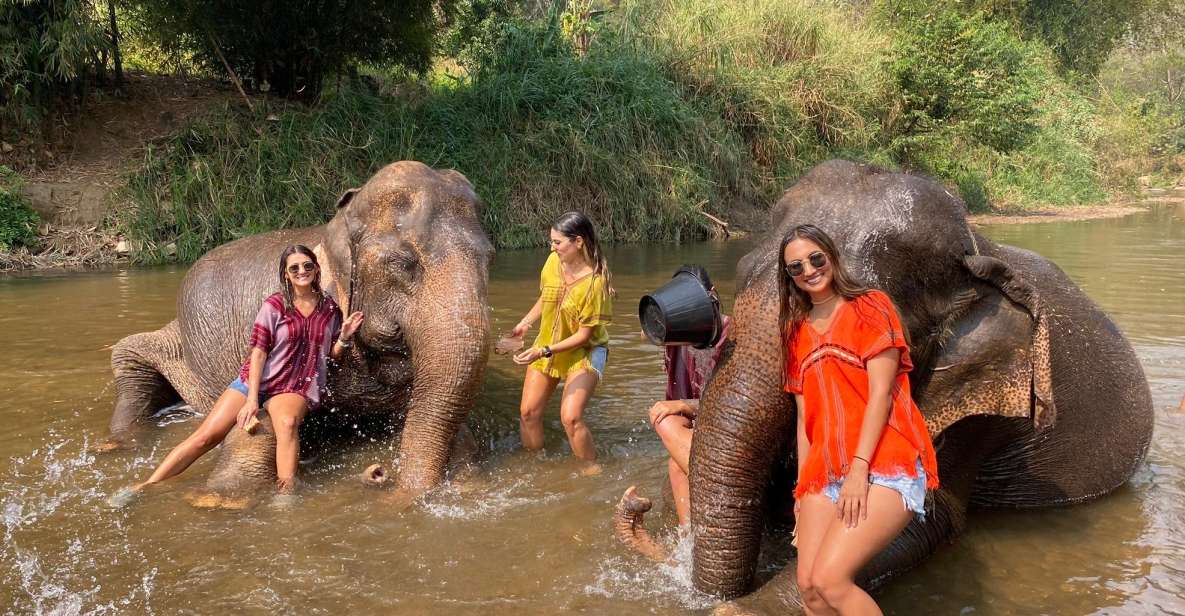 Chiang Mai: Elephant Sanctuary and Sticky Waterfall Tour - Activities