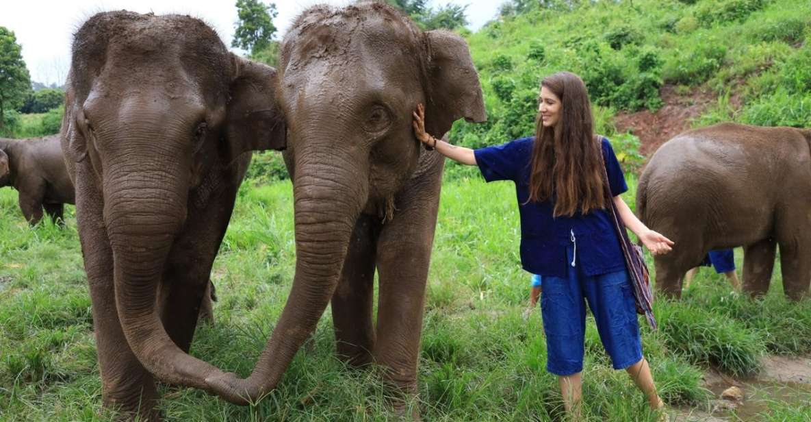 Chiang Mai: Elephant Sanctuary Interactive Tour - Experience Details