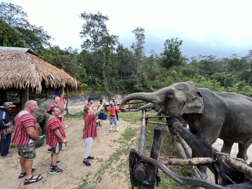 Chiang Mai: Elephant Sanctuary & Waterfall Group Tour - Experience Highlights