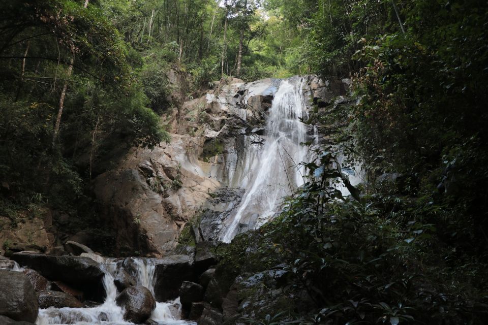 Chiang Mai: Explore Forests to Waterfalls and Water Rafting - Experience Highlights