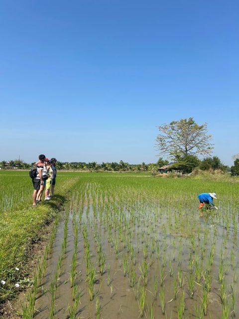 Chiang Mai: Half-Day Private Bicycle Tour With Lunch - Tour Highlights and Details