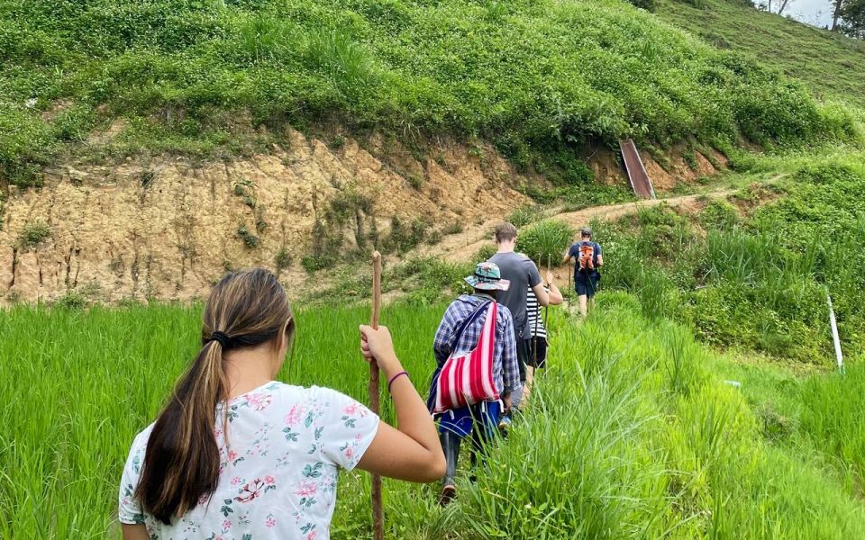 Chiang Mai: Mae Wang One Day Trekking - Experience Highlights