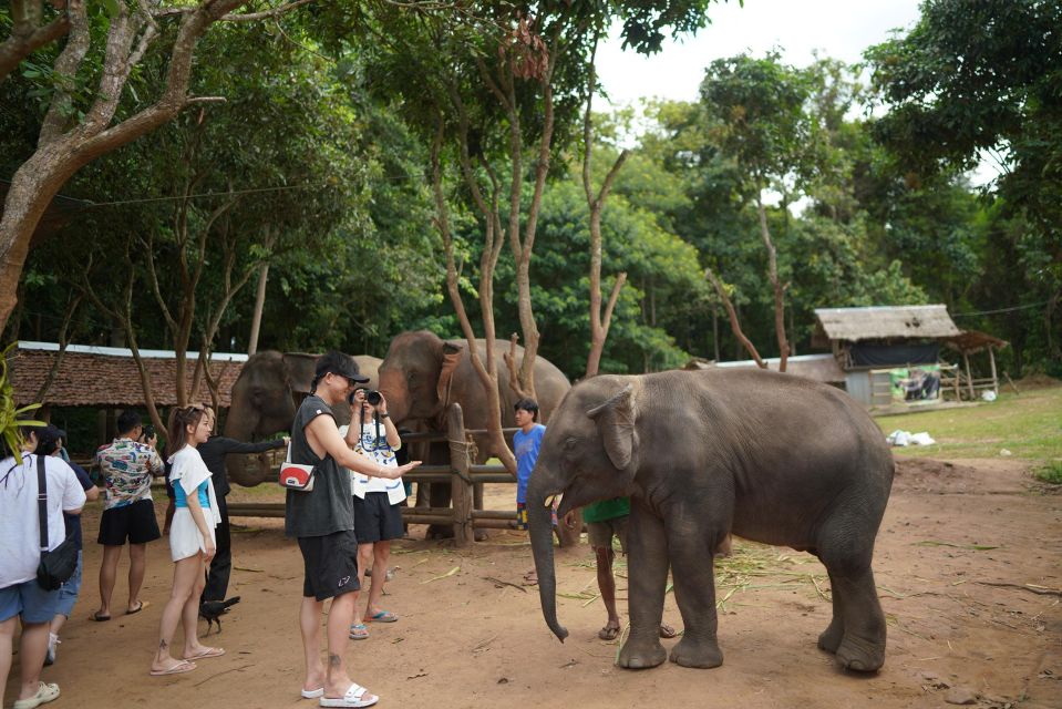 Chiang Mai: National Elephant Care & Rafting/Ziplines Trip - Activity Highlights