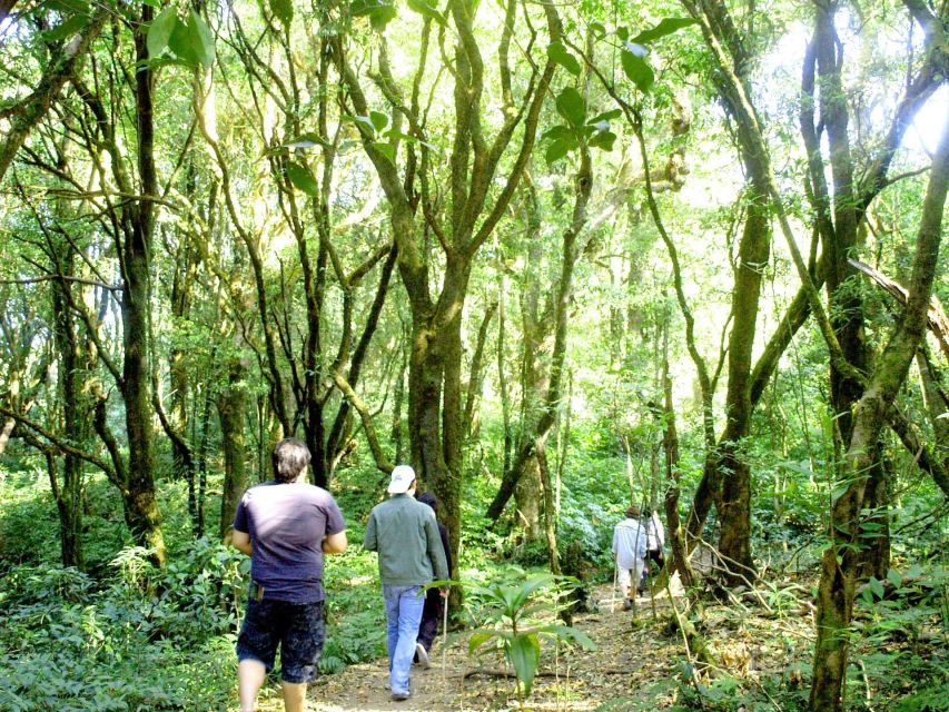 Chiang Mai: Pha Dok Siew Nature Trail & Doi Inthanon Trip - Activity Details