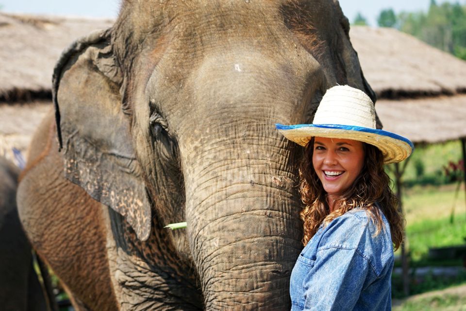 Chiang Mai: Small Group Ethical Elephant Sanctuary Tour - Experience at the Sanctuary