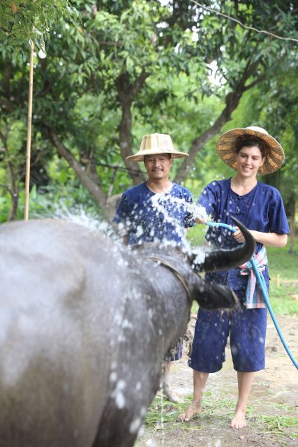Chiang Mai: Thai Buffalo and Rice Planting Experience - Experience Highlights