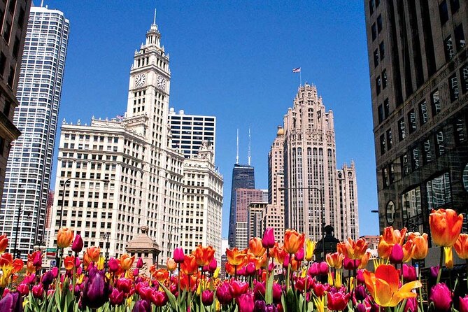 Chicago Private Custom City Tour With Hotel Pick up - Booking and Logistics
