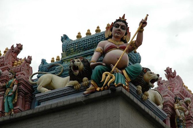 Chinatown, Little India and Buddha Tooth Relic Private City Tour - Pricing Information