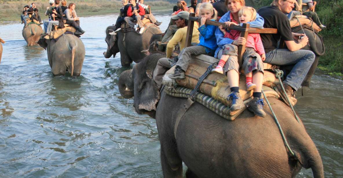 Chitwan Jungle Safari Tour: 3-Day Chitwan National Park Tour - Experience