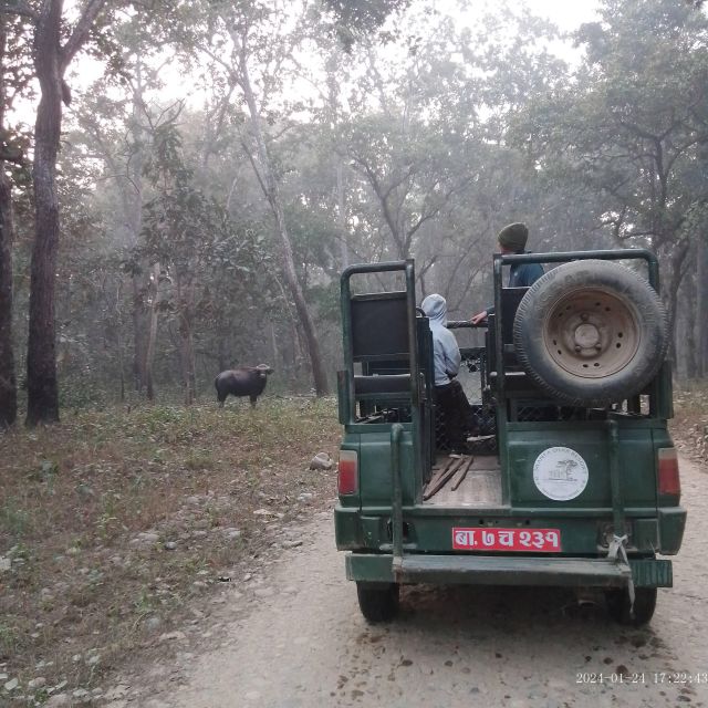 CHITWAN NATIONAL PARK FULL DAY PRIVATE JEEP SAFARI FROM MADI - Departure Details