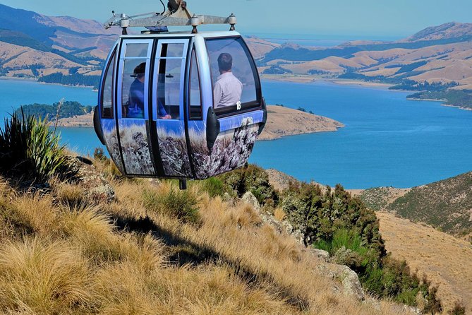 Christchurch Gondola Ride Ticket - Experience Highlights and Upgrades