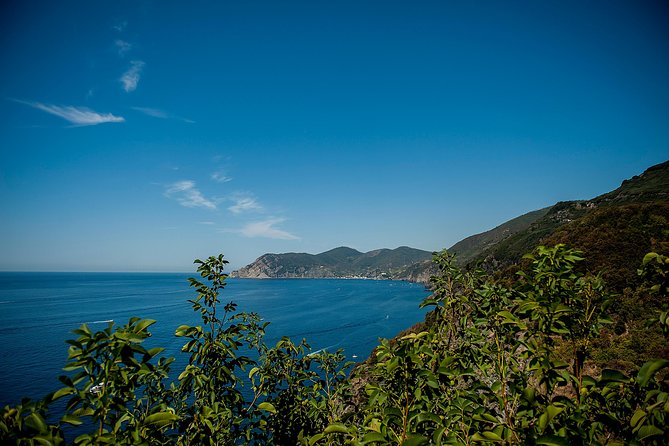 Cinque Terre Day Trip From Florence With Optional Hiking - Tour Itinerary and Activities