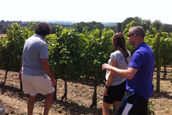 Cité De Carcassonne and Wine Tasting Private Day Tour From Toulouse - Pickup Information