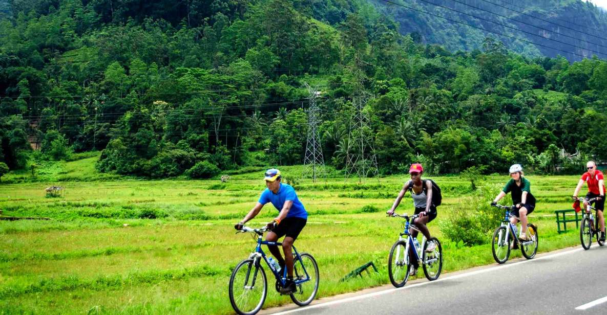 City & Fort Cycling Tour in Galle - Booking Information