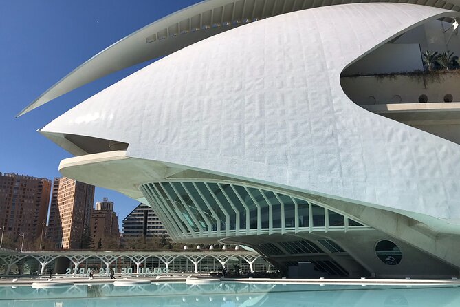 City of Arts and Sciences Private Bike Tour - Booking Information